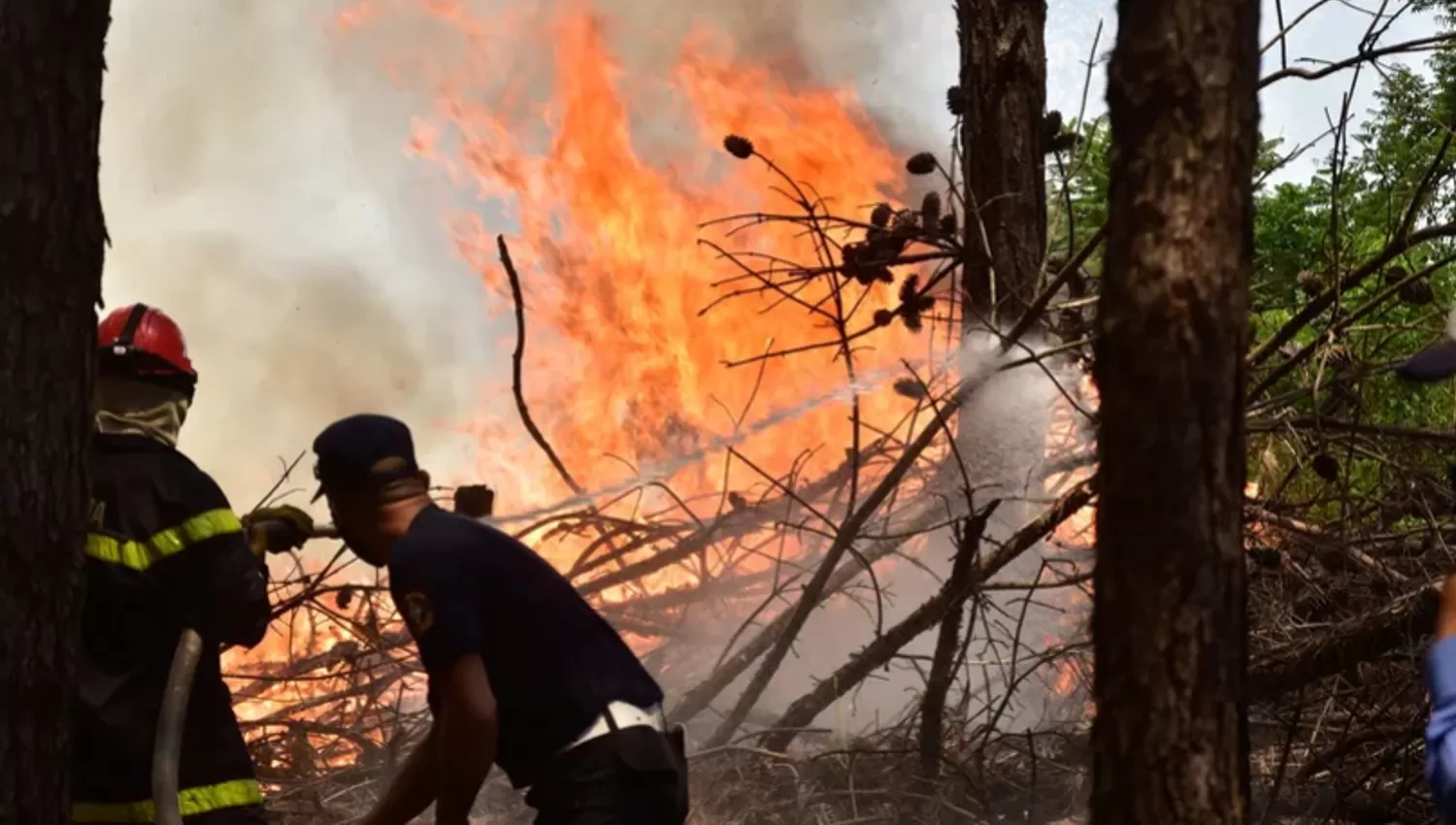 SEQUÍA. Los primeros focos se iniciaron en enero en el centro de Corrientes.