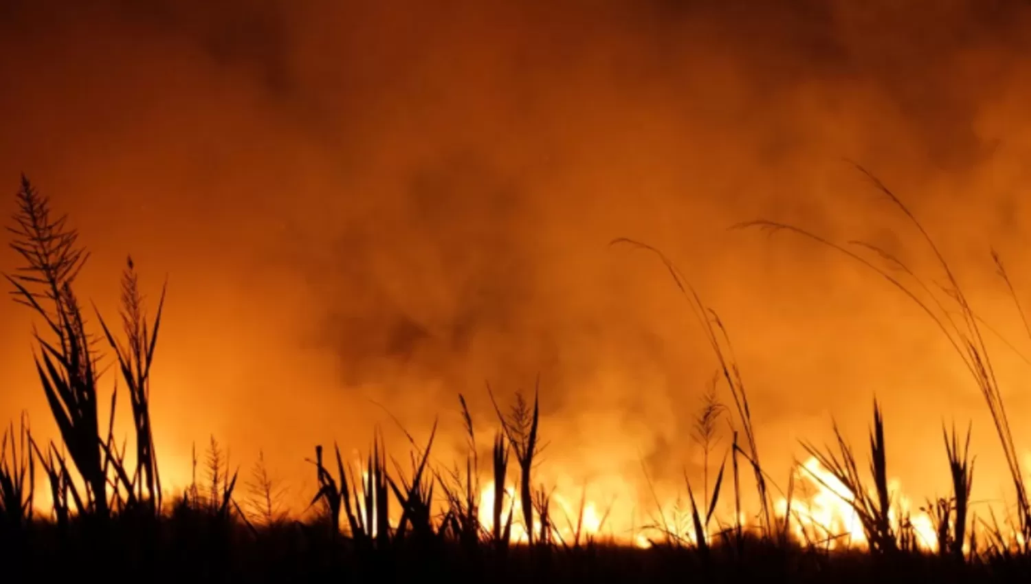 SIN FRENO. Esta semana se reportaron al menos 15 focos de incendios en diferentes puntos de Corrientes. FOTO TOMADA DE INFOBAE.COM