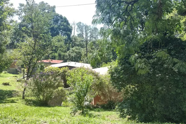 Urbanizar zonas rurales puede ayudar a generar bosques y a recuperar biodiversidad