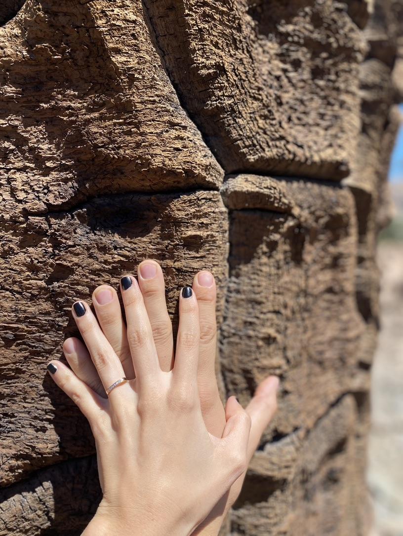 La historia de amor de dos tucumanos que recorrieron el país con una camioneta muy especial