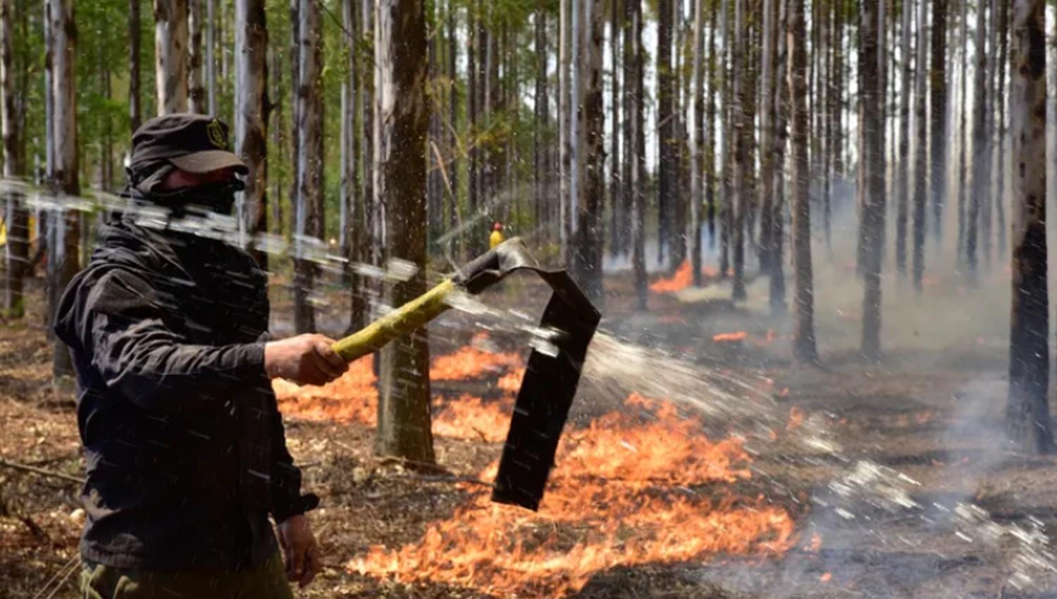 FOTO DE DIARIO EL TERRITORIO