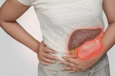 Hígado graso: hallan relaciones entre los genes y las bacterias