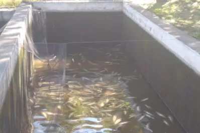 Un centro de atracción turística sufrió un ataque vandálico en Tafí del Valle