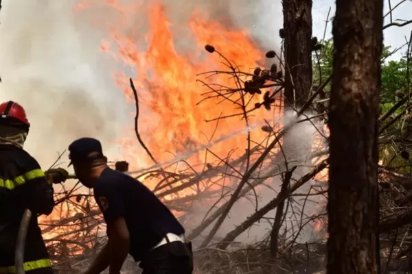 Las dramáticas imágenes de los incendios en Corrientes