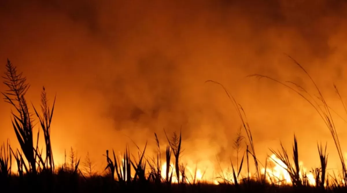 SIN FRENO. Esta semana se reportaron al menos 15 focos de incendios en diferentes puntos de Corrientes. FOTO TOMADA DE INFOBAE.COM