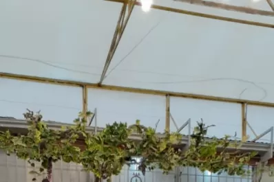 “Los más solos de la Tierra”: una madre le habla a su hijo, que tiene Síndrome de Asperger