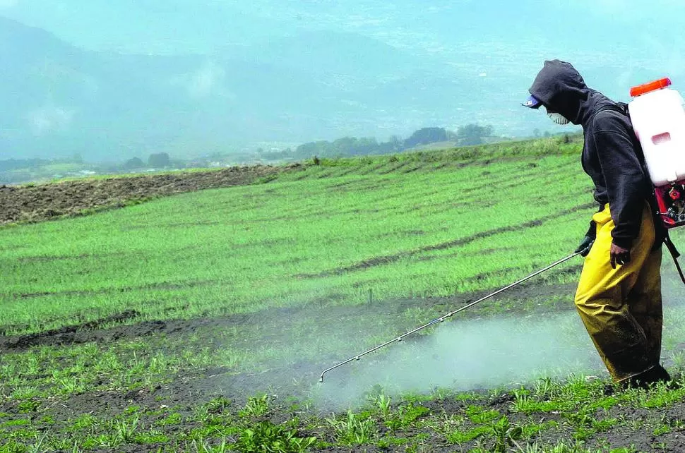 SITUACIÓN. En este momento se registran faltantes de insecticidas. 