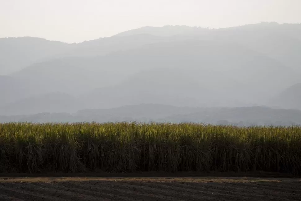 RASGOS. Diciembre y enero de la actual campaña se caracterizaron porque en la mayor parte del área cañera local las lluvias estuvieron por debajo de la media de referencia y porque las temperaturas fueron más elevadas que lo normal. la gaceta / foto de diego araoz 