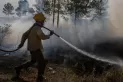 Incendios en Corrientes: “mis jefes me dieron la orden” dijo el joven correntino del video