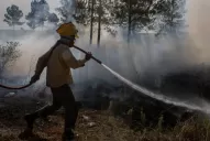 Se mantienen activos ochos focos de incendio en Corrientes y otros seis en Misiones