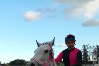 Turf: tras dos segundos puestos seguidos, Prohibiton es candidata en la central