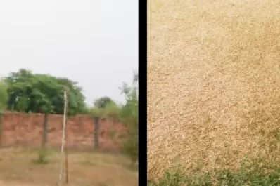 El milagro que Corrientes esperaba llegó: llueve en varias de sus ciudades