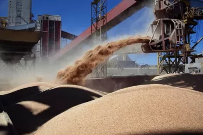 El año pasado la Argentina exportó el mayor volumen de granos en su historia