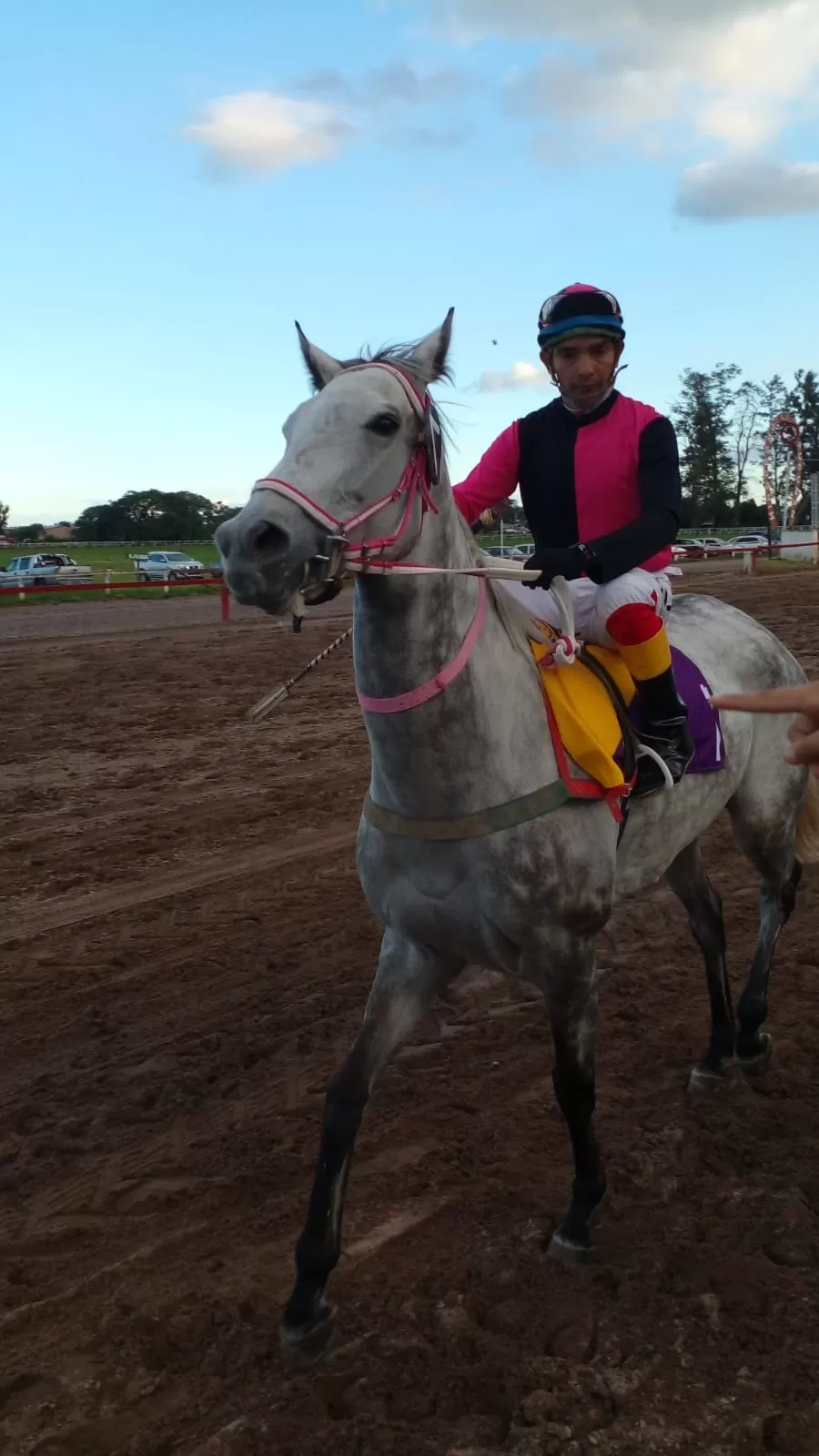 CONFIANZA. “Wily” Lastra montará a Prohibiton en la prueba de 1.500 metros. 