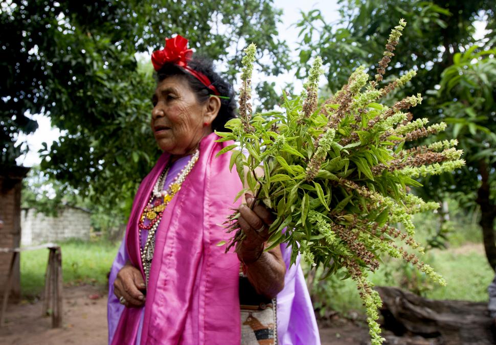 EN LAS YUNGAS. Un clásico: recorrer las calles con el ramo de albahaca. la gaceta / fotos de franco vera  