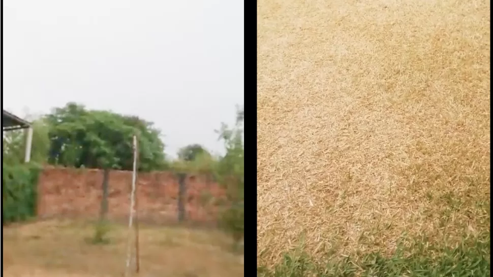 El milagro que Corrientes esperaba llegó: llueve en varias de sus ciudades