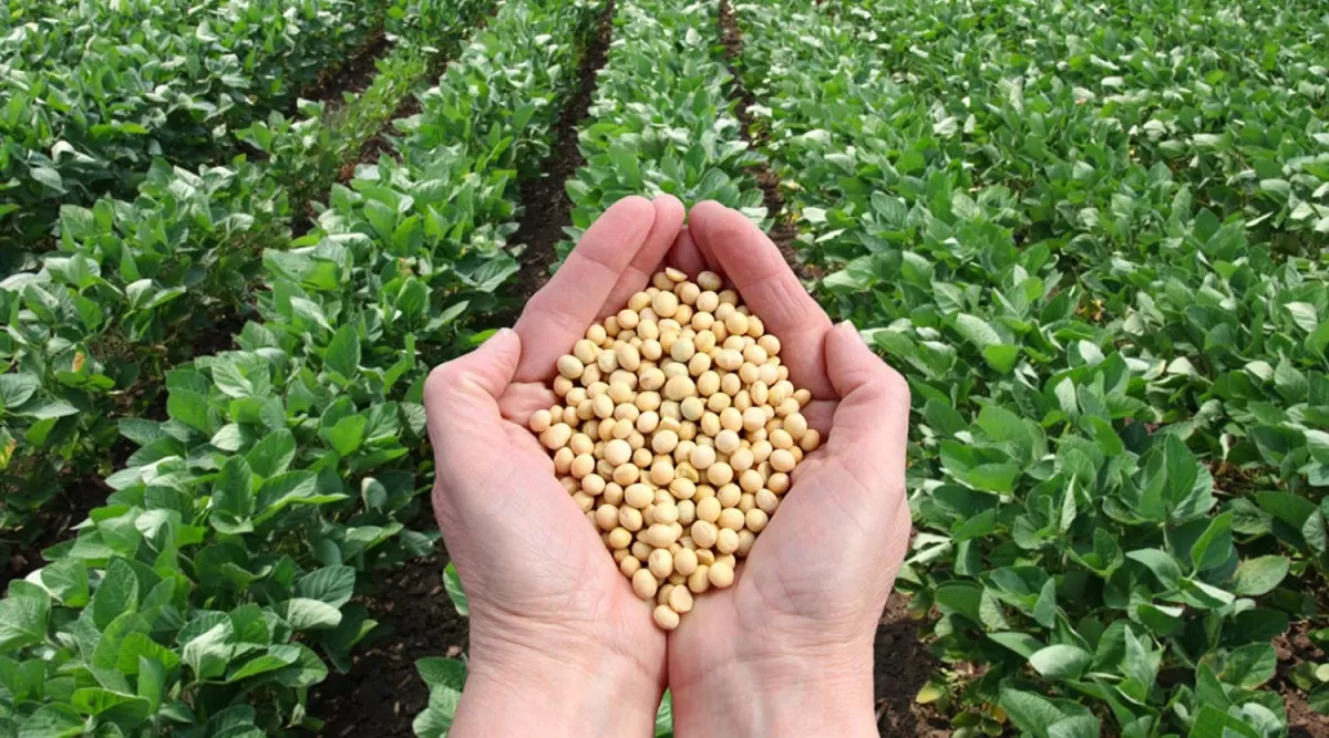 La SRA presentó un amparo contra las retenciones