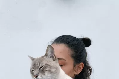 Aprendé a manejar el estrés de los felinos