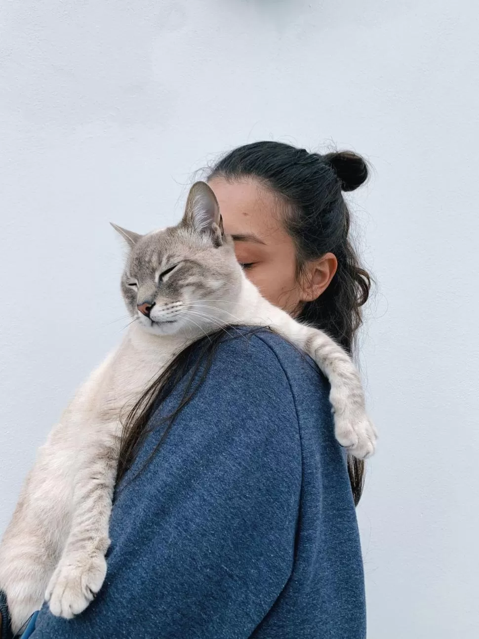 AFECTO. Es importante que los gatitos domésticos tengan un contacto cariñoso con su humano. 