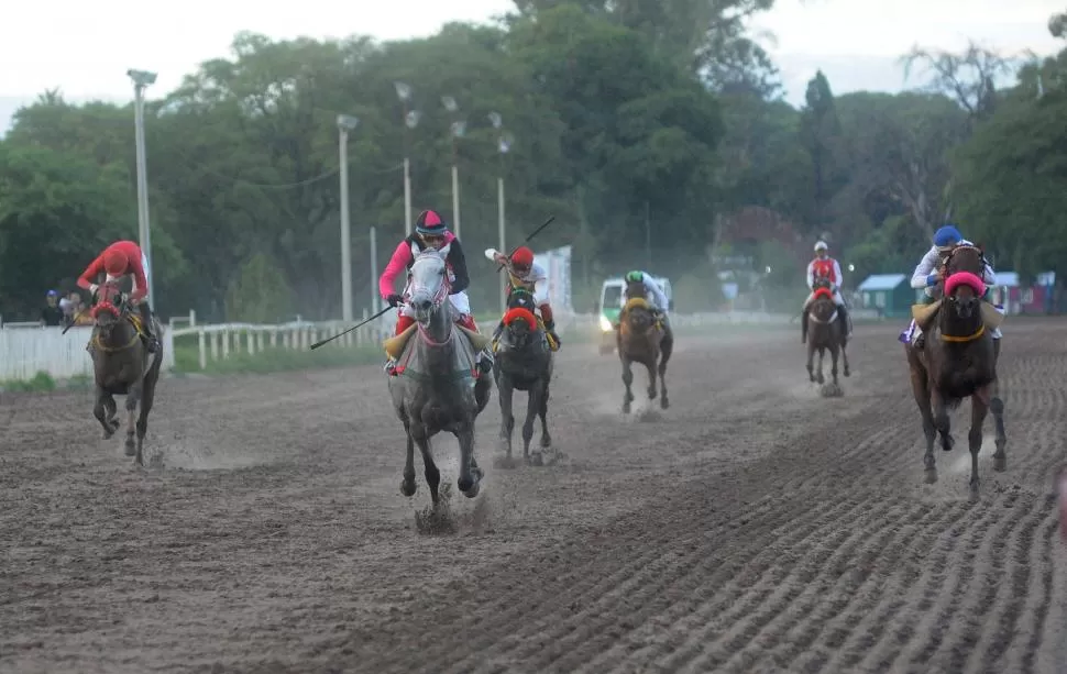 CONTUNDENTE TRIUNFO. La tordilla Prohibition (izquierda) relegó a Ravello en la competencia jerárquica de 1.500 metros. 