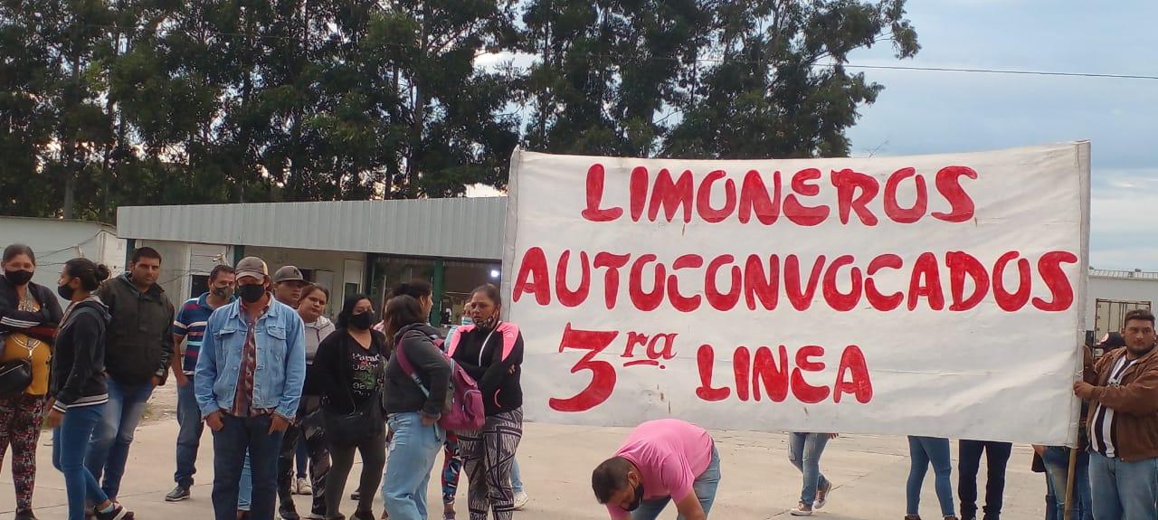 MEJORES CONDICIONES. Los trabajadores del limón esperan respuestas del Gobierno y de la Uatre.
