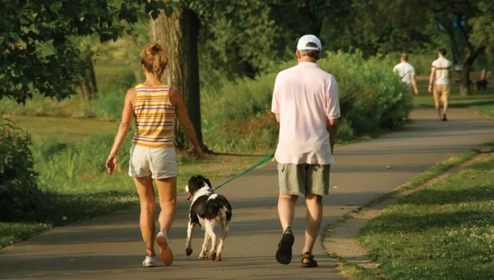 A BUEN RITMO. Más que caminar muchos pasos, es importante hacerlo rápido. Resulta más eficiente. 