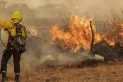El drama de Corrientes: la sequía y los incendios provocarían pérdidas de $ 70.000 millones