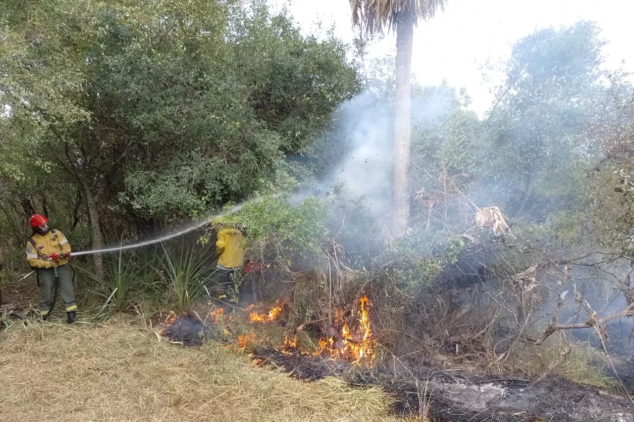 AGENTES TUCUMANOS. Personal de Bomberos y de Defensa Civil de esta provincia colaboran en Corrientes. Foto: Comunicación Pública