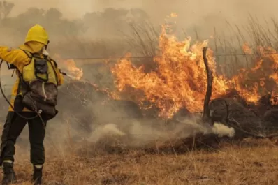 El drama de Corrientes: la sequía y los incendios provocarían pérdidas de $ 70.000 millones