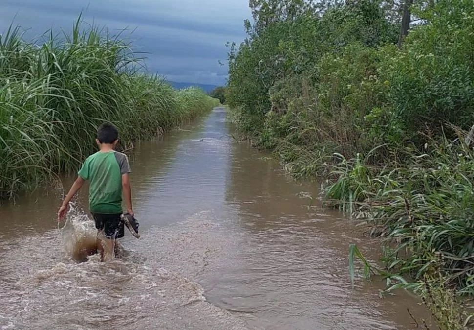 EL AGUA HASTA LAS RODILLAS. Así quedaron varios caminos. 