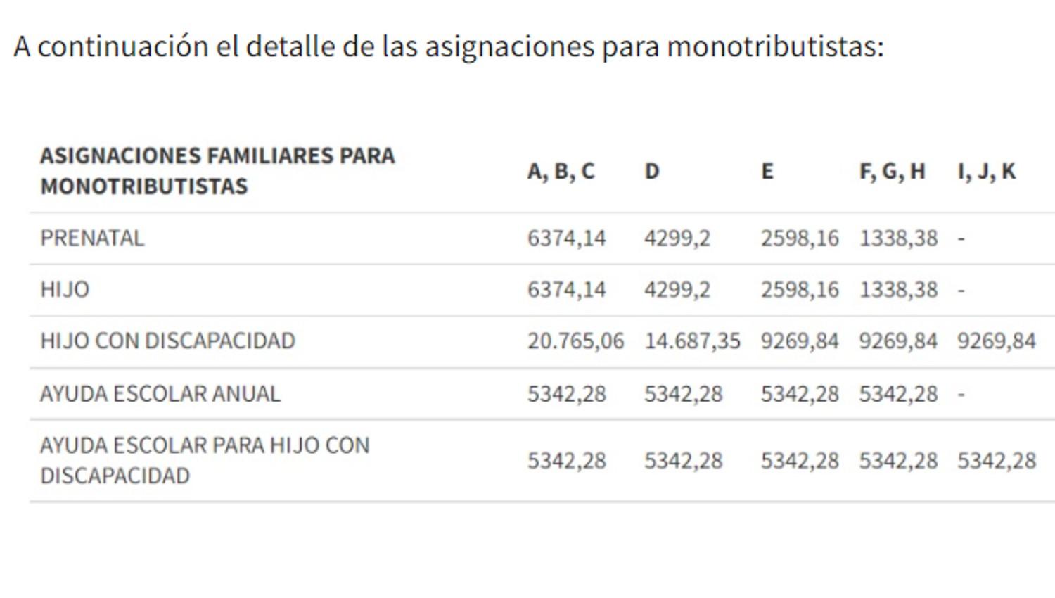 Anses pagará en marzo un bono para Monotributistas: ¿Cómo cobrar los $8.000?
