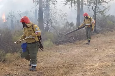 Incendio en los Esteros del Iberá: “El daño es tremendo y esperamos por la lluvia”