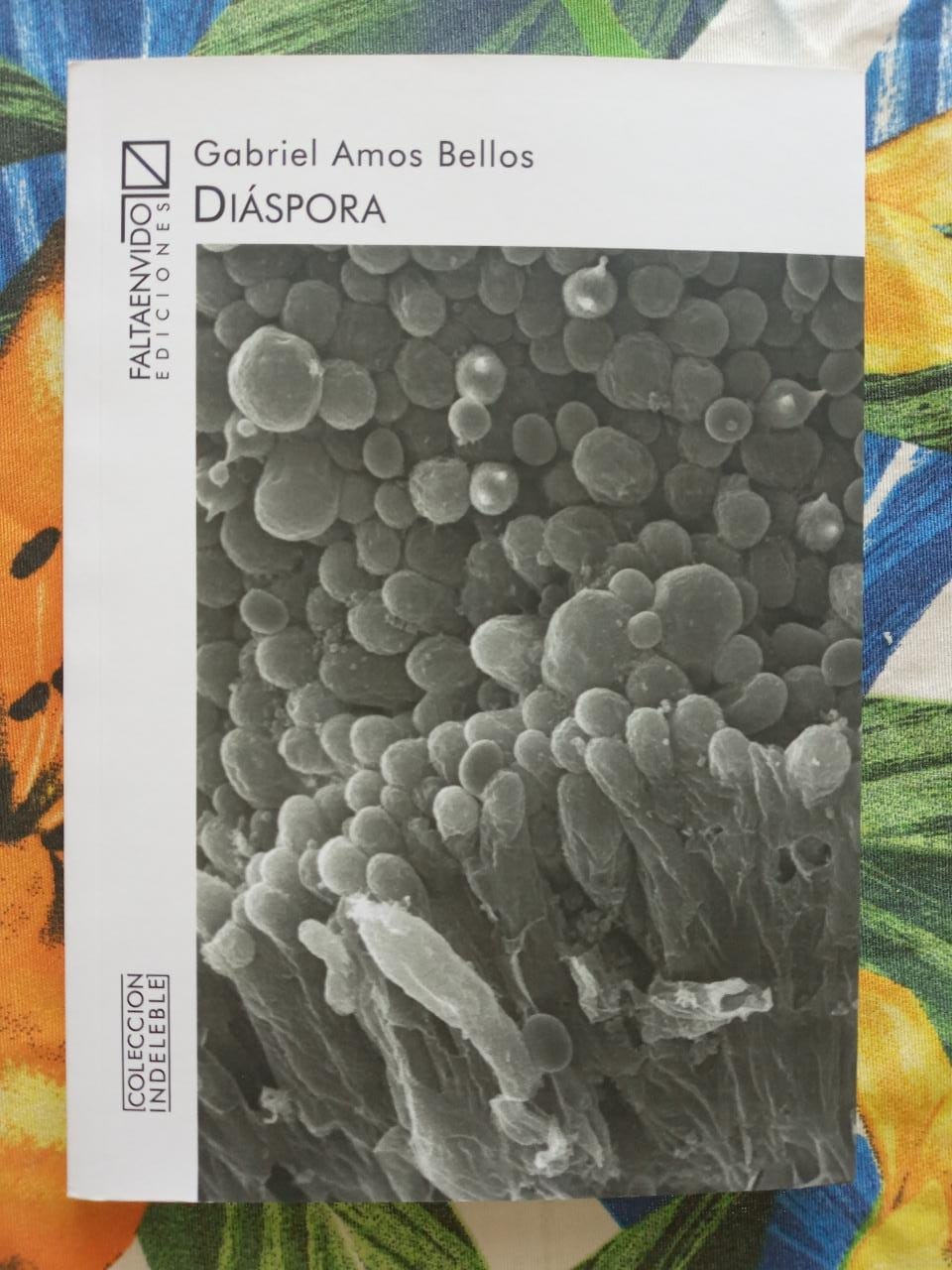POESÍA. “Diáspora” se presenta esta tarde. 
