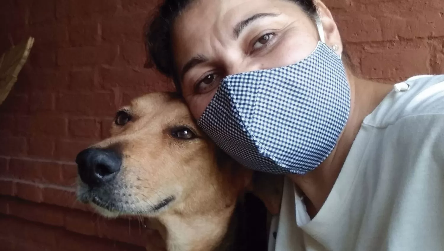 Salvavidas emocional. 