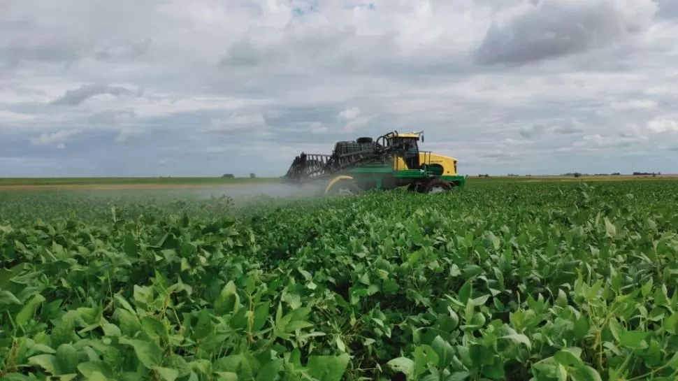 MUESTRA. Presentaron lotes de soja, maíz y girasol tratados con bioinsumos. 