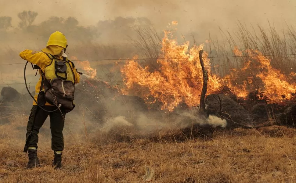 EVALUACIÓN. Los incendios consumieron unas 800.000 hectáreas. ARCHIVO LA GACETA