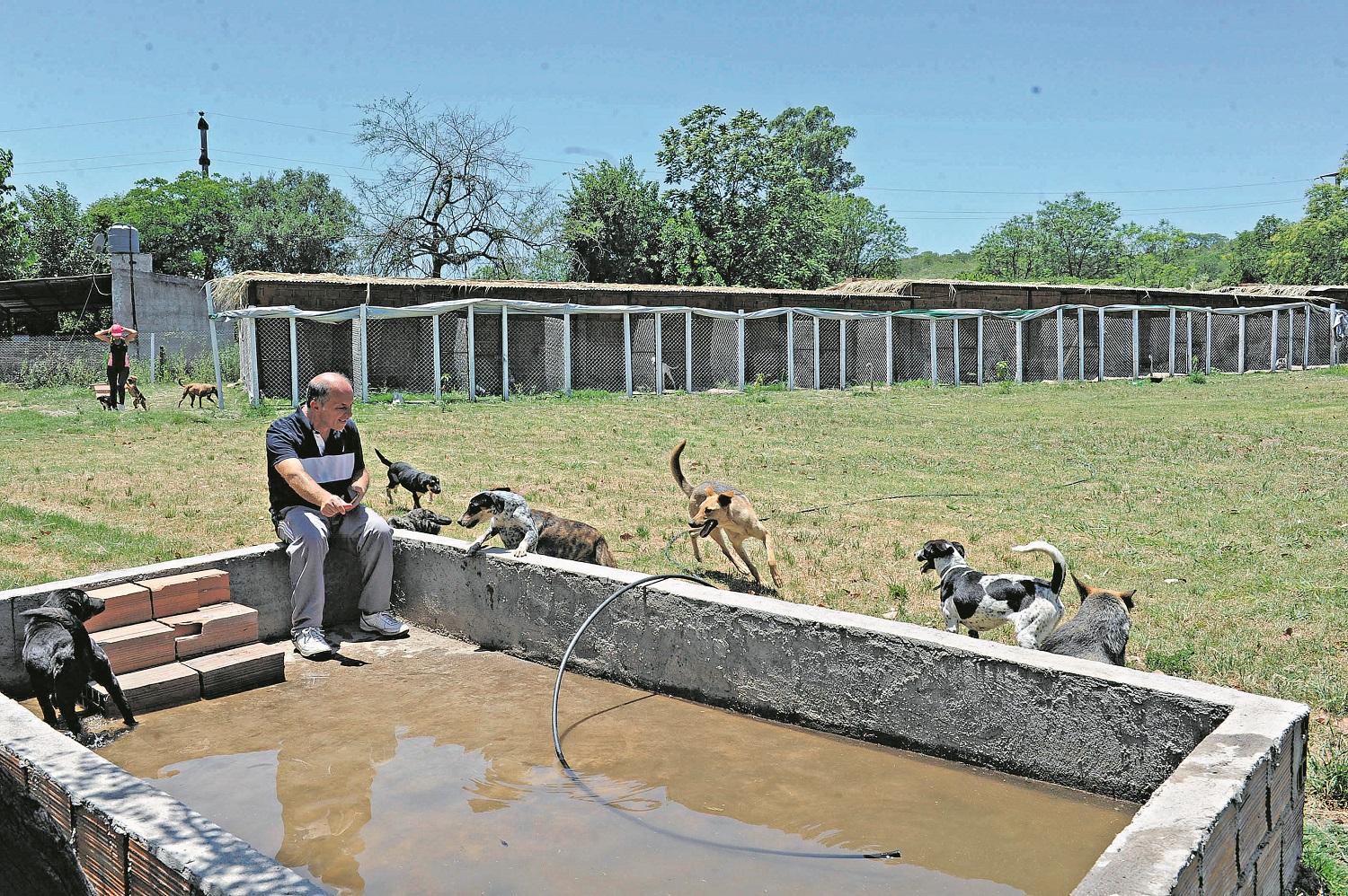 Pensiones: un lugar seguro y amigable donde hospedar a tu perro