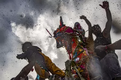 Alcoholizaron a un perro en pleno festejo del Carnaval