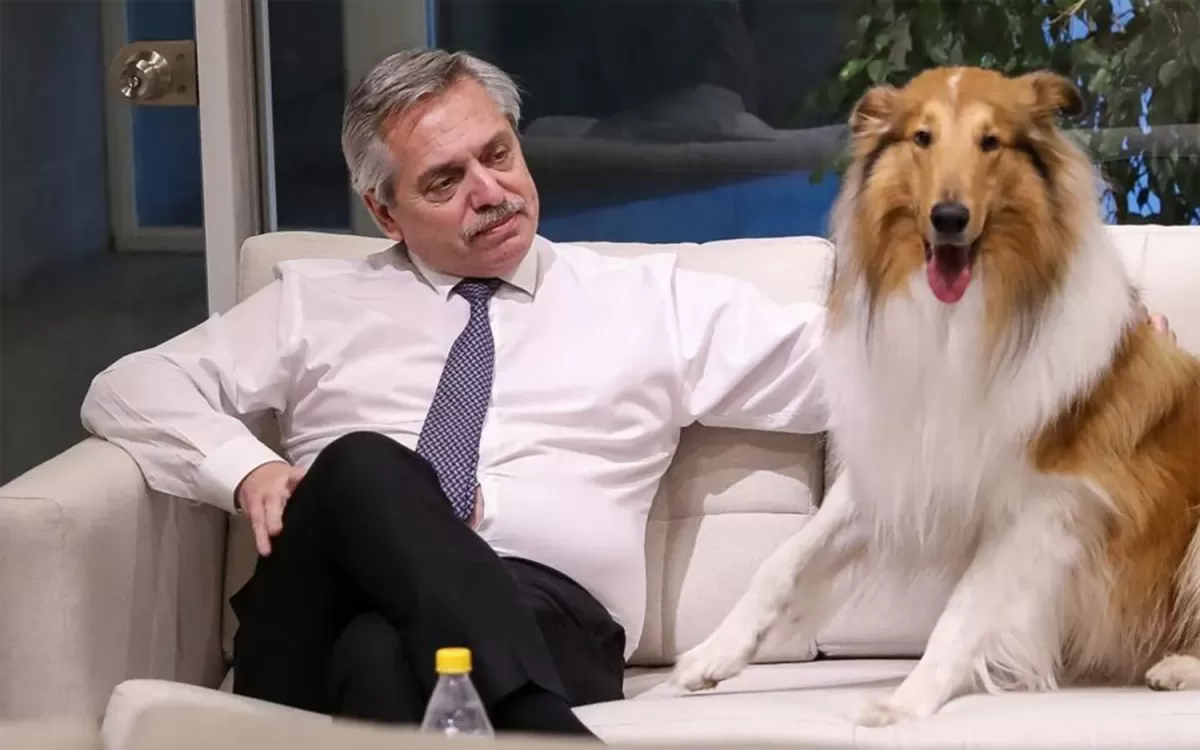 Alberto Fernández y su perro Dylan.