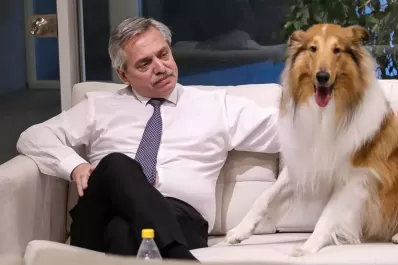 El entrenador de Dylan ahora es funcionario