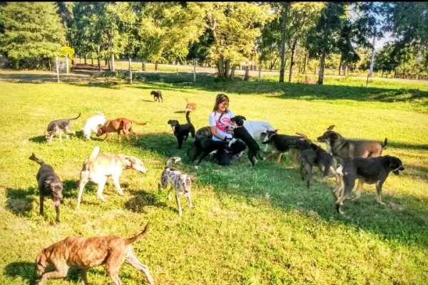 Cómo la socialización mejora la conducta de nuestros perros