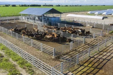 Un ente coordinará la ejecución del plan GanAr en Tucumán