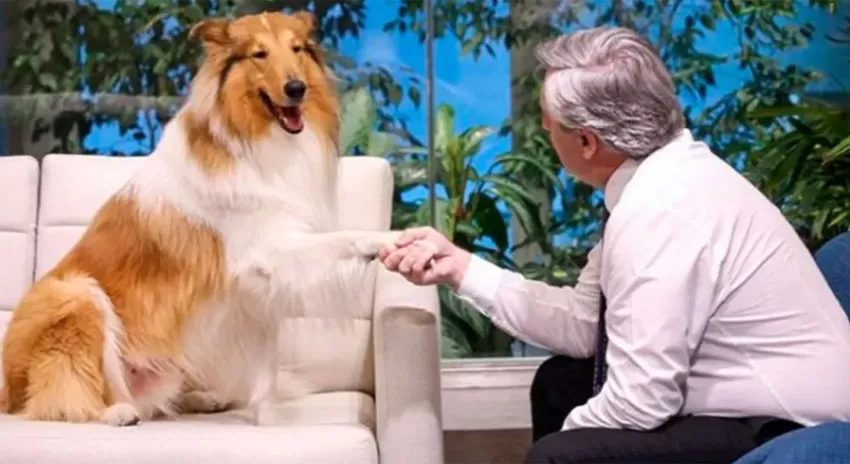 Alberto Fernández y su perro Dylan