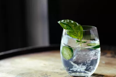 Gin tonic: ¿Sólo una tendencia o llegó para quedarse?