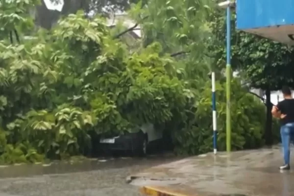 La lluvia de ayer provocó anegamientos y caída de árboles en San Miguel de Tucumán