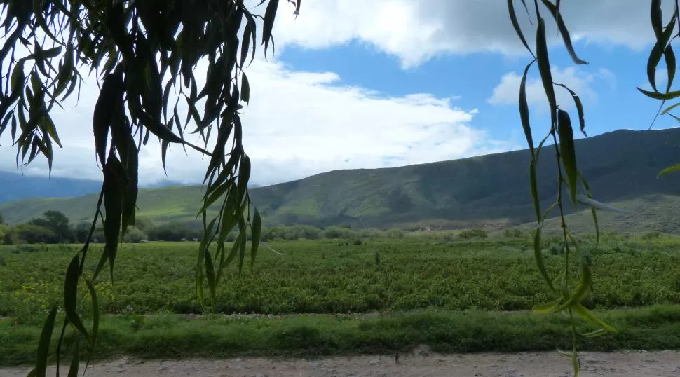 DESPROTEGIDOS. Los dirigentes de Apronor cuestionaron a las autoridades de la Provincia porque “el campo quedó a merced de los delincuentes”. 