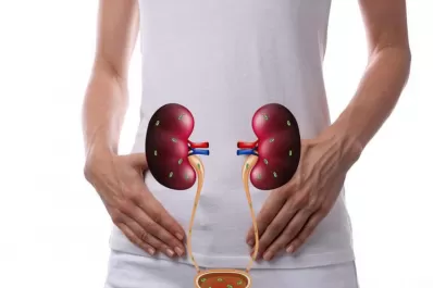 Diez consejos para tener riñones sanos