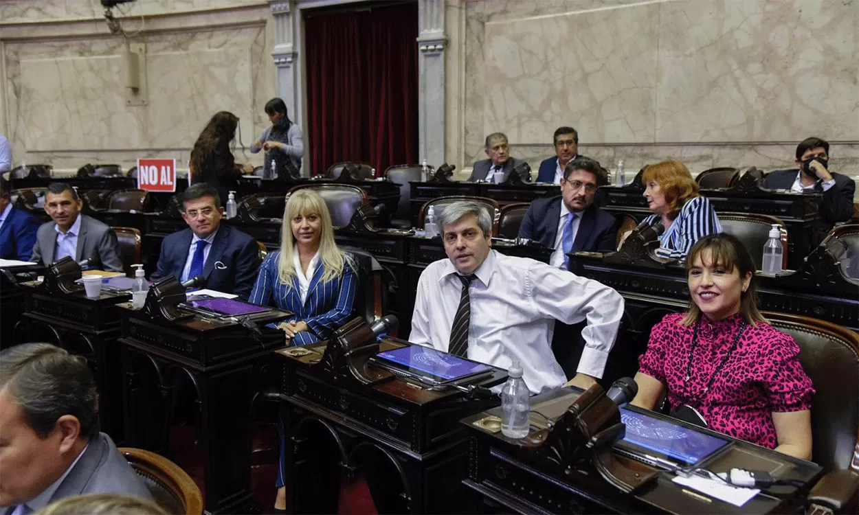 ANTES DE LA VOTACIÓN. Los oficialistas Leito, Cisneros, Chahla, Fernández y Carrizo.