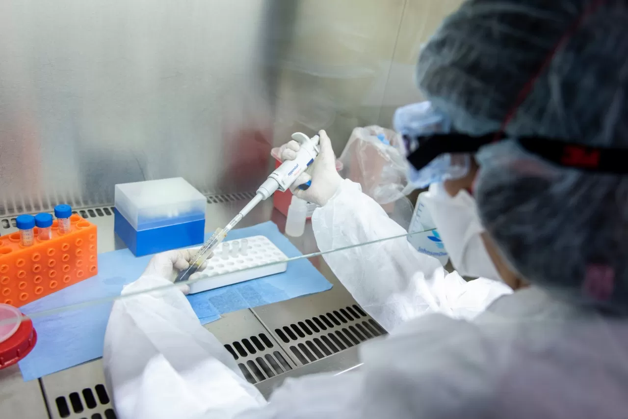 Coronavirus en Argentina: 43 muertes y 5.615 casos en las últimas 24 horas