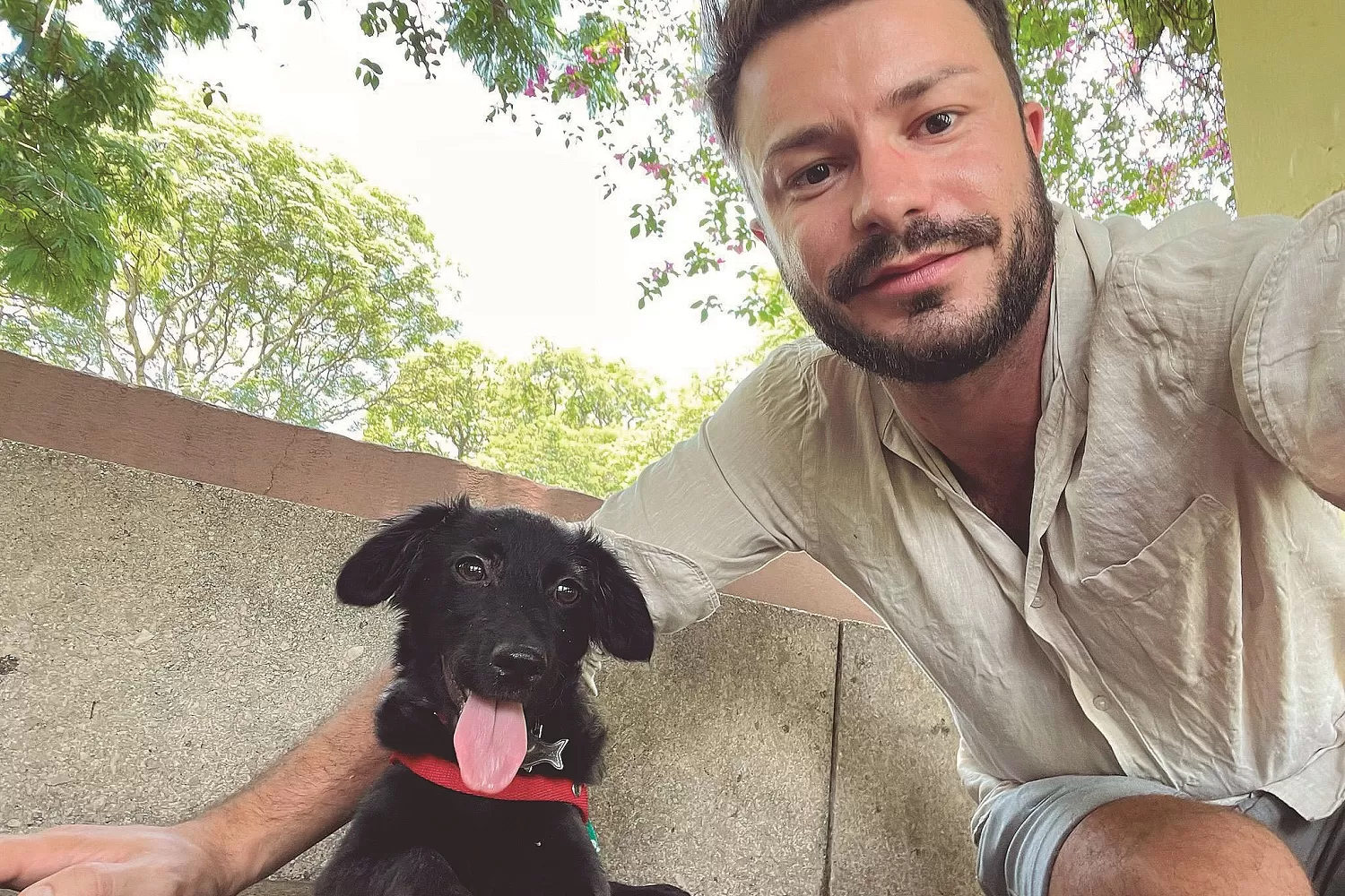 Oeste, la perrita que vivía en un cementerio y se mudó a Italia